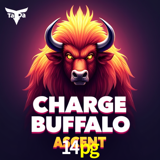 A Experiência Imersiva dos Cassinos Ao Vivo no 14pg