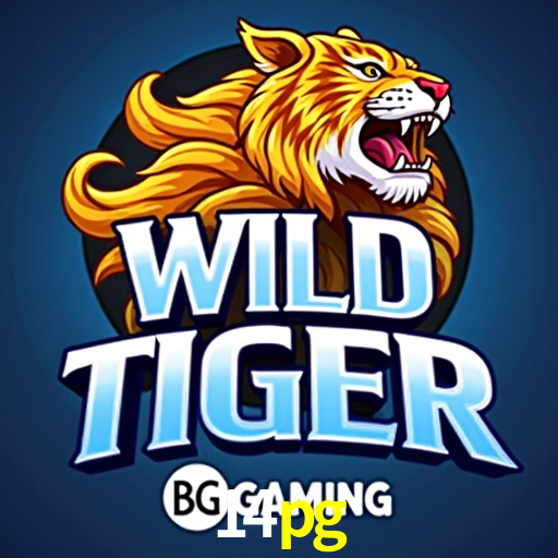 Descubra o Programa VIP da 14pg: Vantagens Exclusivas para Jogadores